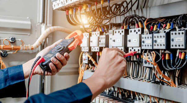 Best Generator Installation Services  in Argentine, MI