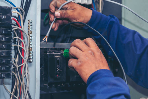 Best Electrical Troubleshooting Services  in Argentine, MI