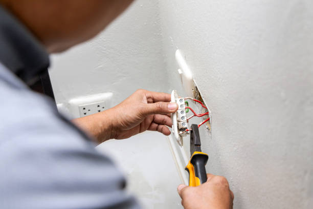 Best Affordable Emergency Electrician  in Argentine, MI