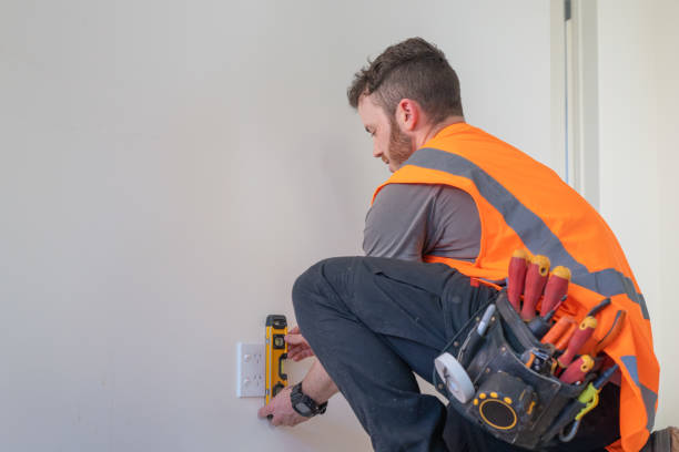Best Residential Electrician Services  in Argentine, MI