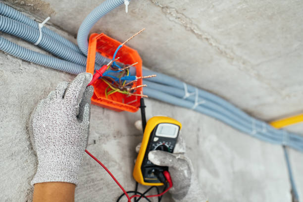Best Home Electrical Repair  in Argentine, MI