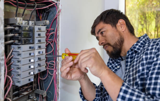 Best Electrical Outlet Repair  in Argentine, MI